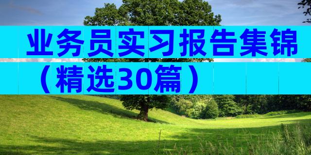 业务员实习报告集锦（精选30篇）
