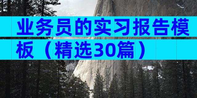 业务员的实习报告模板（精选30篇）