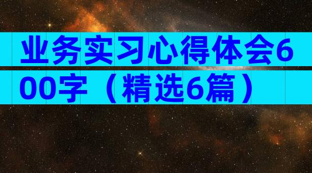 业务实习心得体会600字（精选6篇）