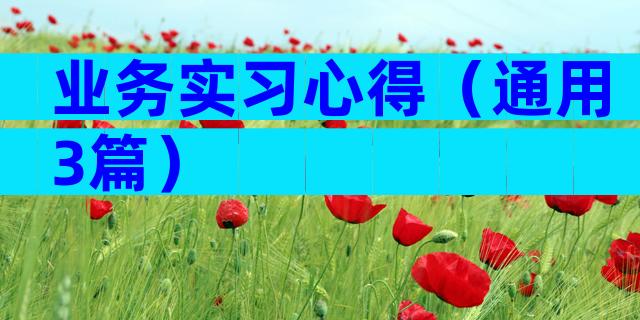 业务实习心得（通用3篇）