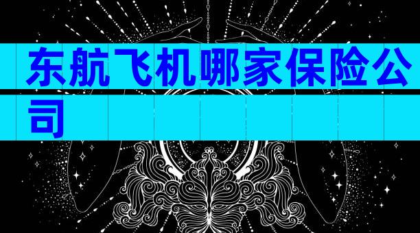 东航飞机哪家保险公司
