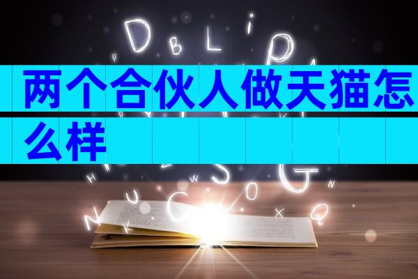 两个合伙人做天猫怎么样