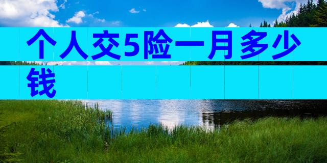 个人交5险一月多少钱