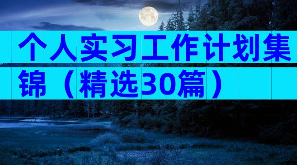 个人实习工作计划集锦（精选30篇）