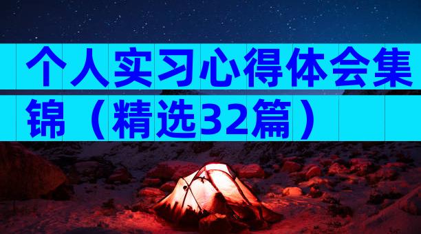 个人实习心得体会集锦（精选32篇）