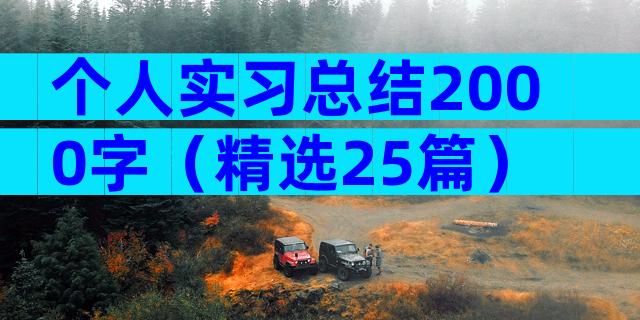 个人实习总结2000字（精选25篇）