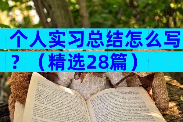 个人实习总结怎么写？（精选28篇）