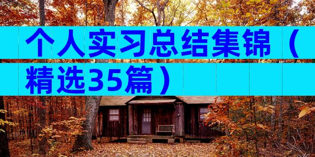 个人实习总结集锦（精选35篇）