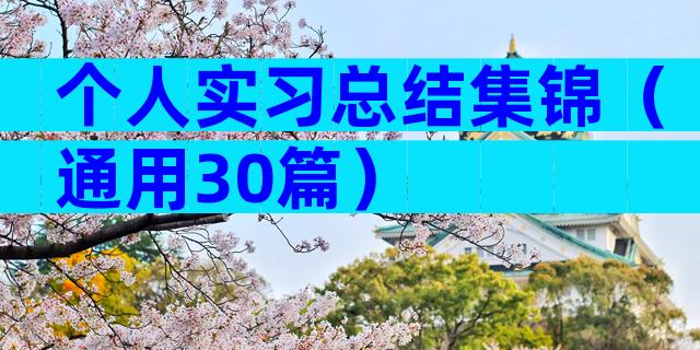 个人实习总结集锦（通用30篇）
