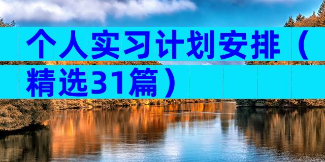 个人实习计划安排（精选31篇）