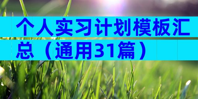 个人实习计划模板汇总（通用31篇）