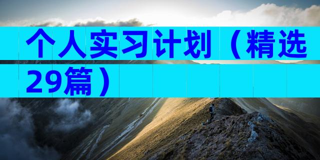 个人实习计划（精选29篇）