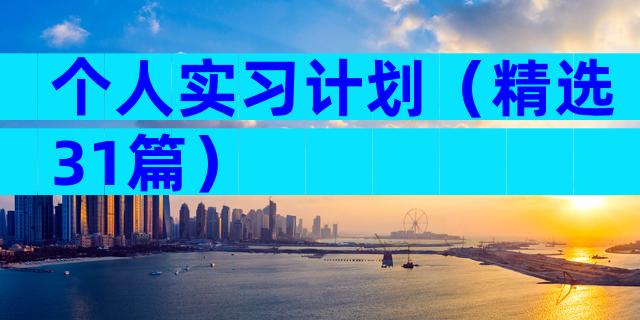 个人实习计划（精选31篇）