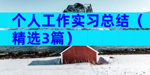 个人工作实习总结（精选3篇）