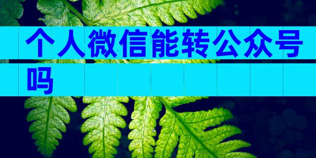 个人微信能转公众号吗