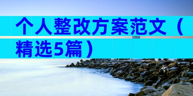 个人整改方案范文（精选5篇）
