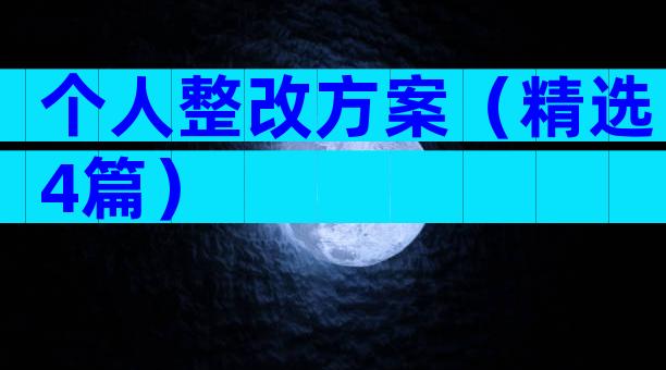 个人整改方案（精选4篇）