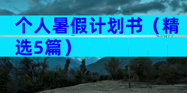 个人暑假计划书（精选5篇）