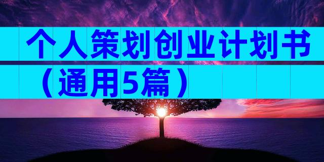 个人策划创业计划书（通用5篇）