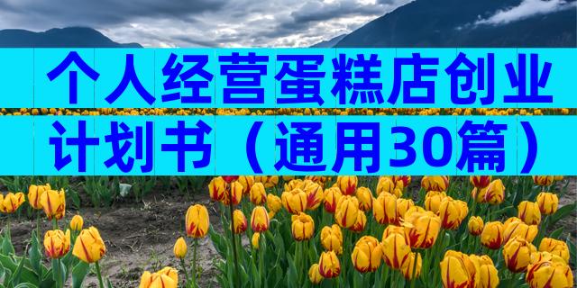 个人经营蛋糕店创业计划书（通用30篇）