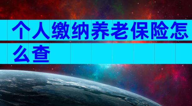 个人缴纳养老保险怎么查