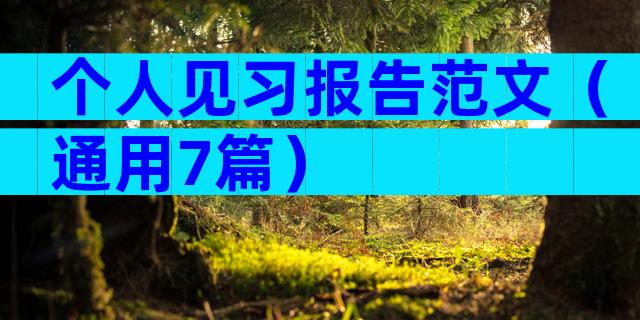 个人见习报告范文（通用7篇）