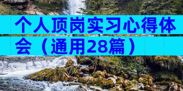 个人顶岗实习心得体会（通用28篇）