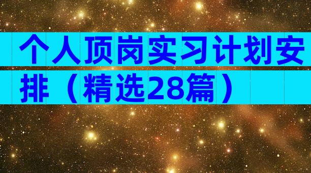 个人顶岗实习计划安排（精选28篇）