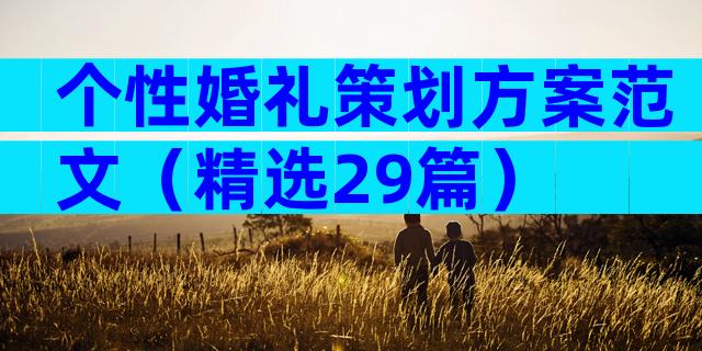 个性婚礼策划方案范文（精选29篇）
