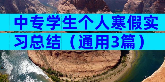 中专学生个人寒假实习总结（通用3篇）