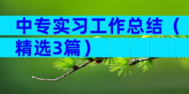 中专实习工作总结（精选3篇）