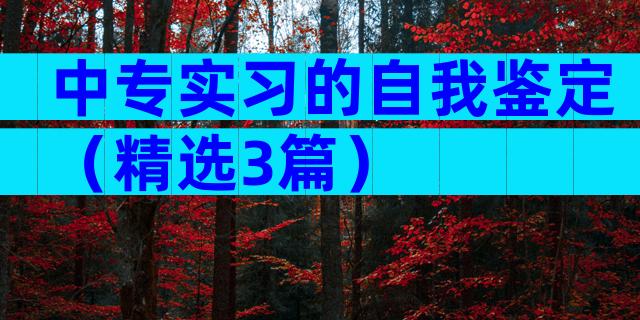 中专实习的自我鉴定（精选3篇）