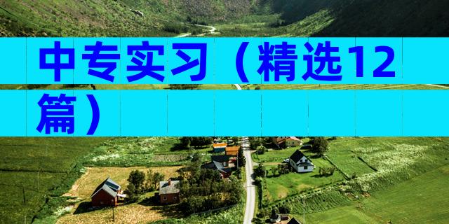 中专实习（精选12篇）