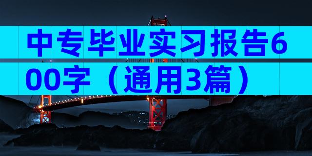 中专毕业实习报告600字（通用3篇）