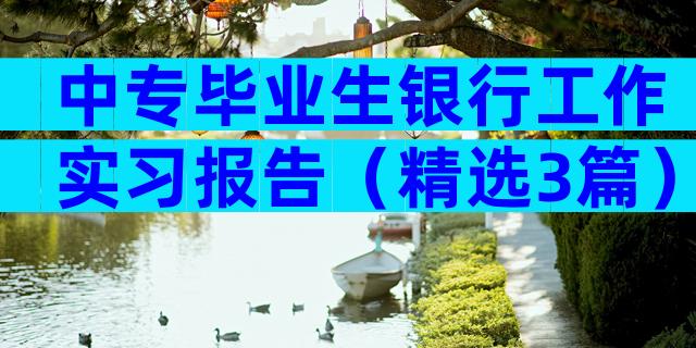 中专毕业生银行工作实习报告（精选3篇）