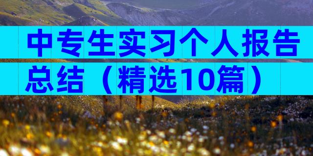 中专生实习个人报告总结（精选10篇）