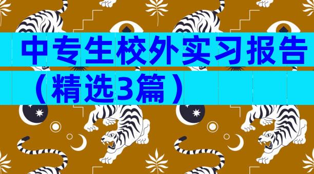 中专生校外实习报告（精选3篇）