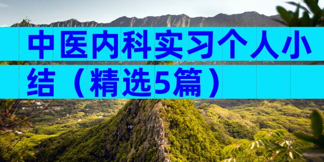 中医内科实习个人小结（精选5篇）