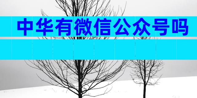 中华有微信公众号吗