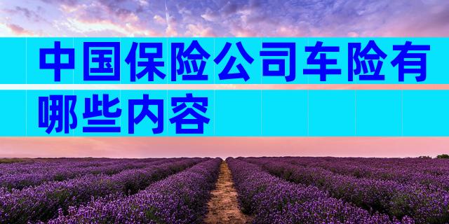 中国保险公司车险有哪些内容