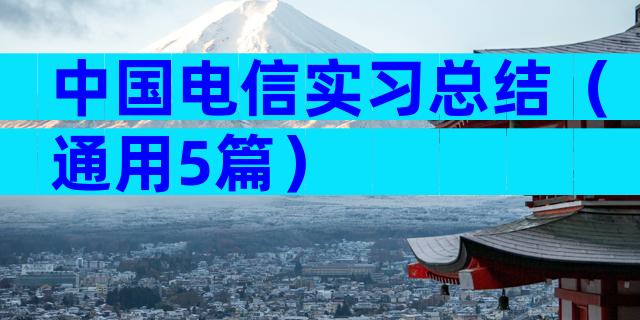 中国电信实习总结（通用5篇）
