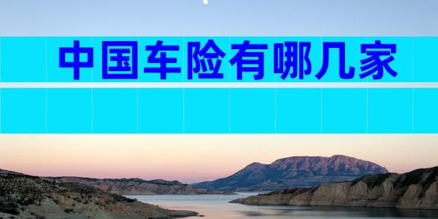 中国车险有哪几家