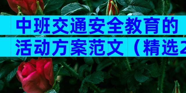 中班交通安全教育的活动方案范文（精选28篇）