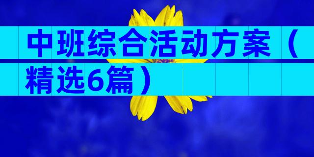 中班综合活动方案（精选6篇）