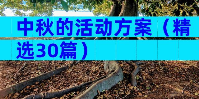 中秋的活动方案（精选30篇）