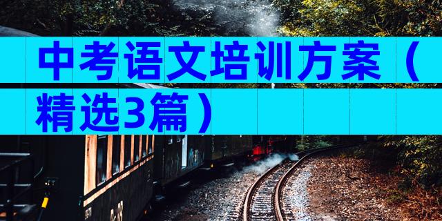中考语文培训方案（精选3篇）