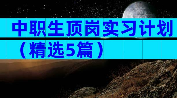中职生顶岗实习计划（精选5篇）