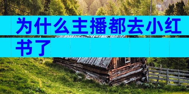 为什么主播都去小红书了