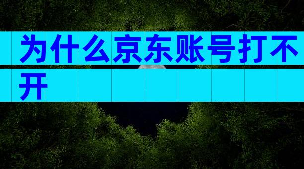 为什么京东账号打不开