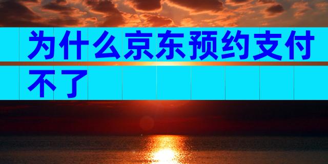 为什么京东预约支付不了